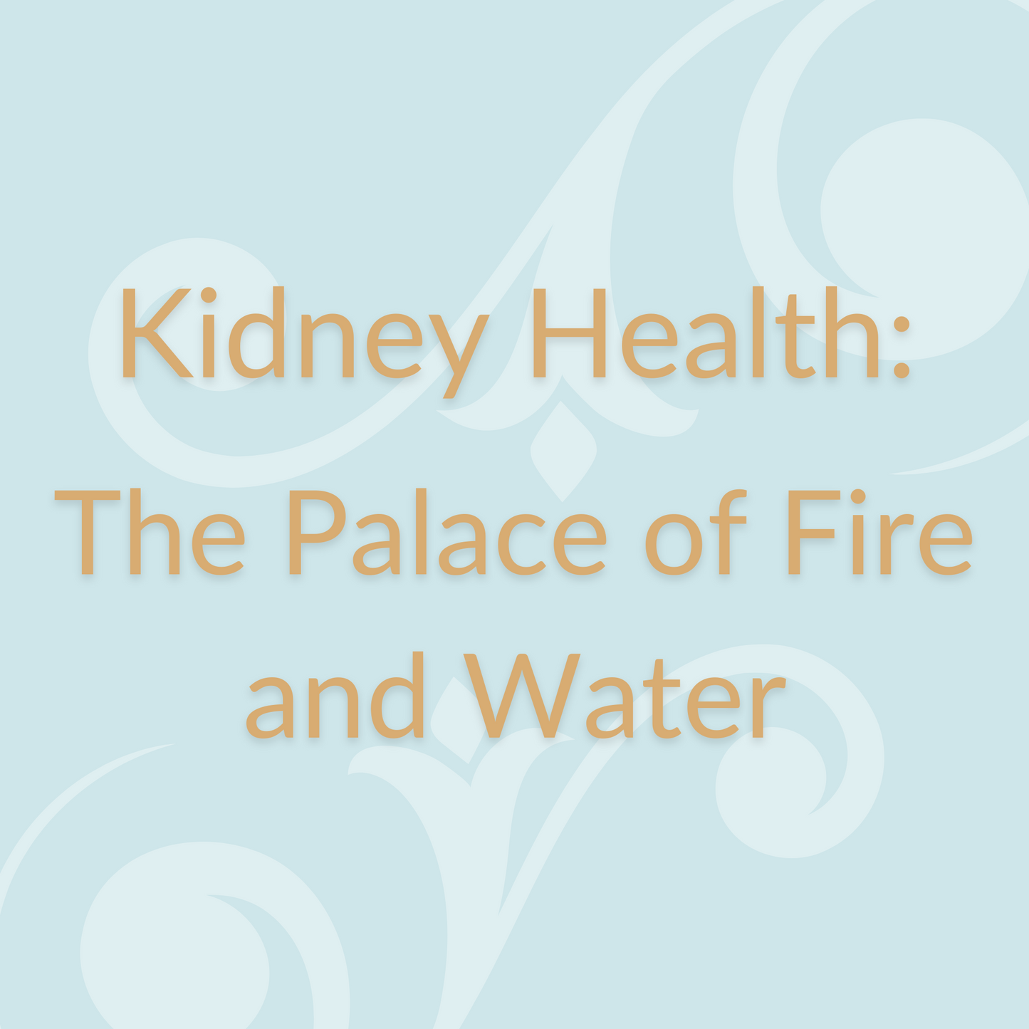 Kidney Health - The Palace of Fire and Water Atomic Healing Audio Bundle